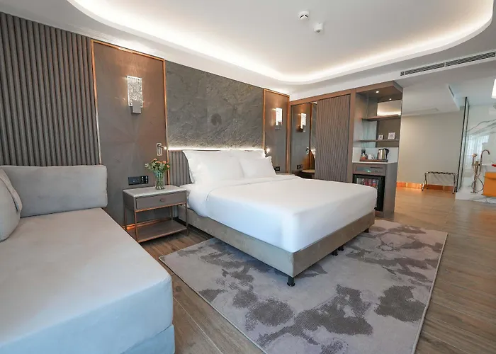 Boreas & Spa, Trademark Collection By Wyndham 4* Ancara