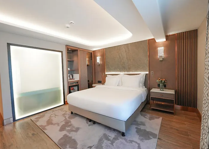 Boreas & Spa, Trademark Collection By Wyndham 호텔 앙카라