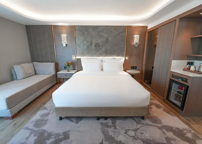 Boreas & Spa, Trademark Collection By Wyndham 4* 앙카라