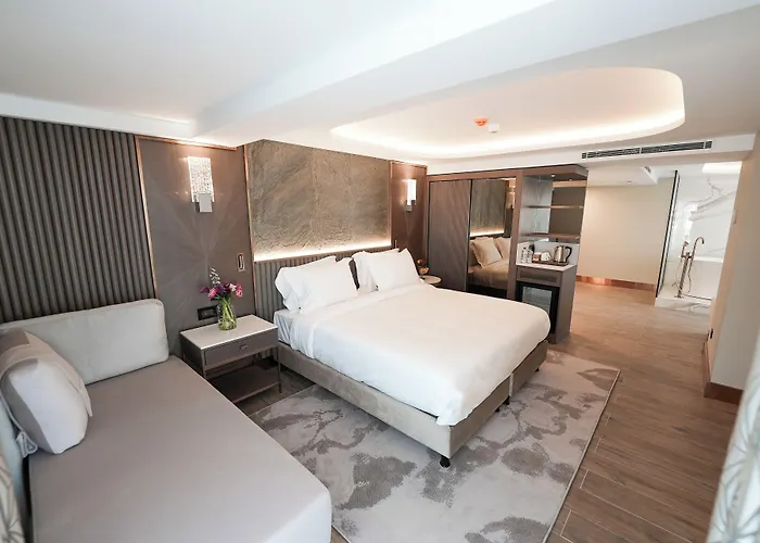 Boreas & Spa, Trademark Collection By Wyndham Hotell Ankara